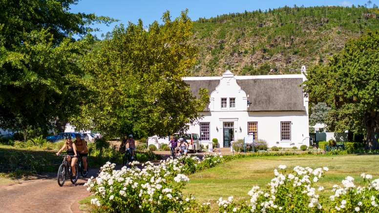 Franschhoek Half Day Winelands EBike Tour image 1