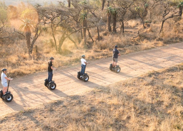 1 Hour Segway Safari at Tala Game Reserve image 2