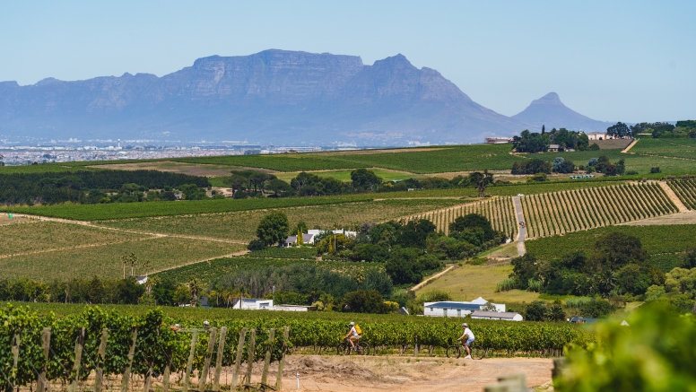 Stellenbosch Half Day Winelands EBike Tour image 4