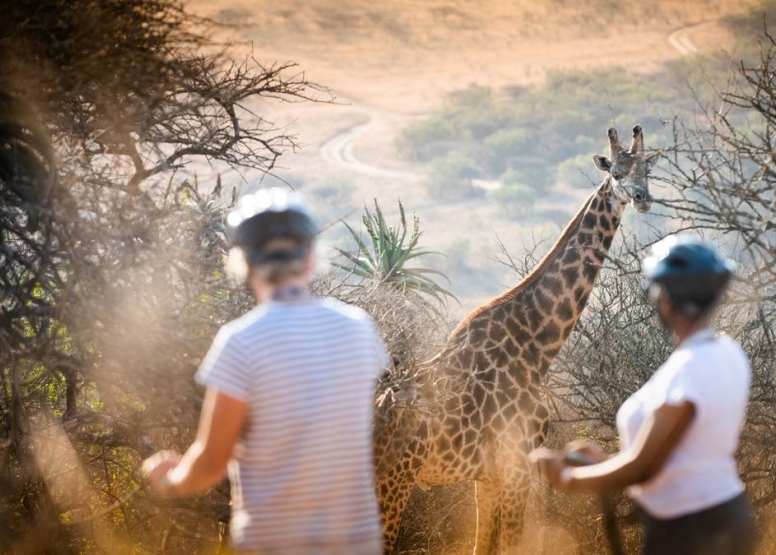 1 Hour Segway Safari at Tala Game Reserve image 1