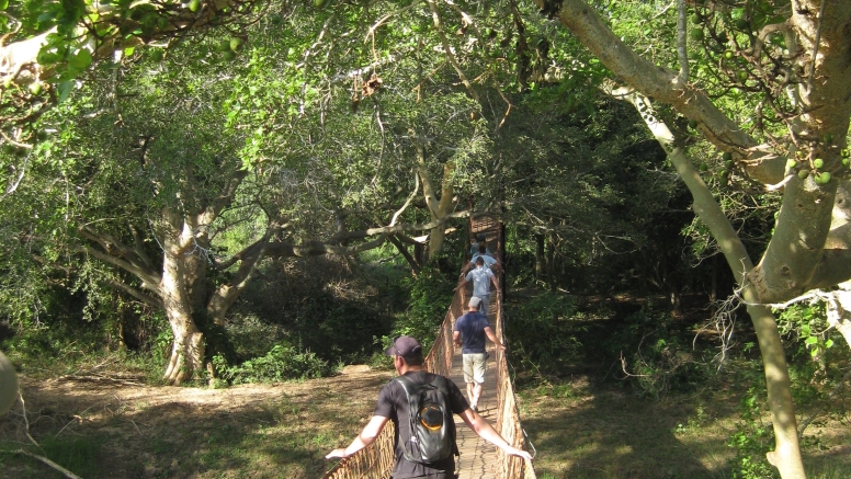 uMkhuze Fig Forest Walk image 3