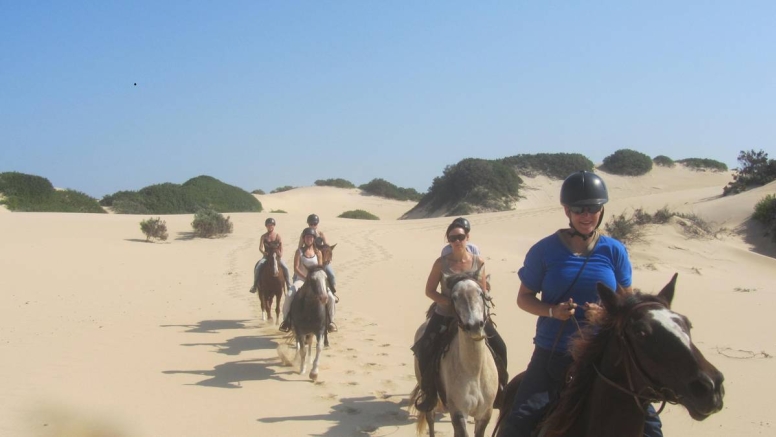 Beach Horse Trail Beginners image 2