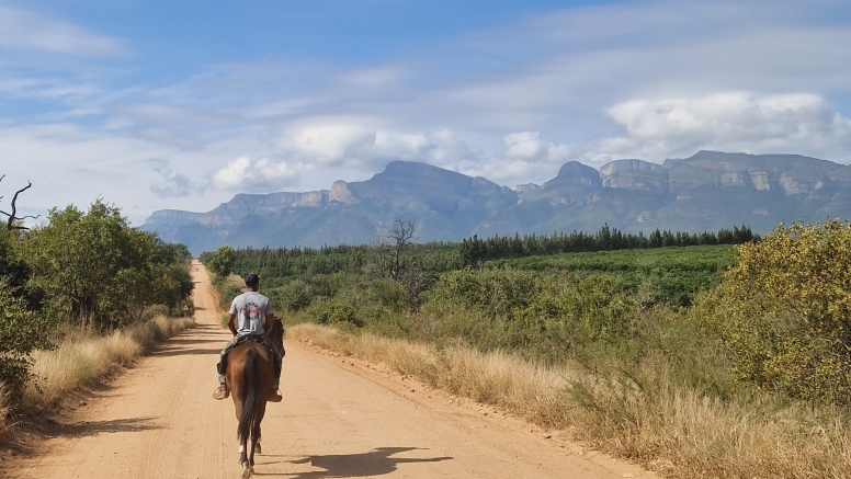 1 Hour Horseback Trail Safari Hoedspruit image 6