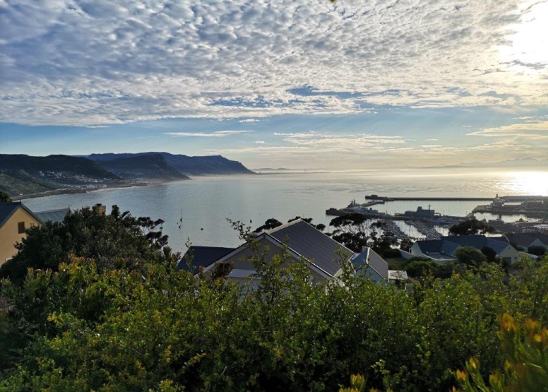 Albatross House Guest House image 12