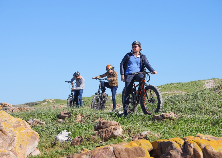 Electric Bike Cape Peninsula Tour image 5