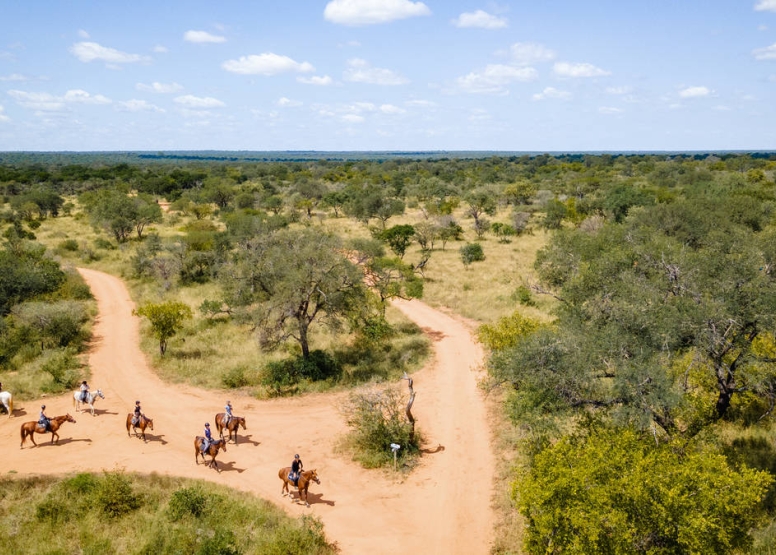 2 Hour Horseback Trail Hoedspruit image 2