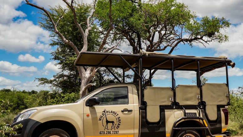 Full Day Kruger Safari image 7