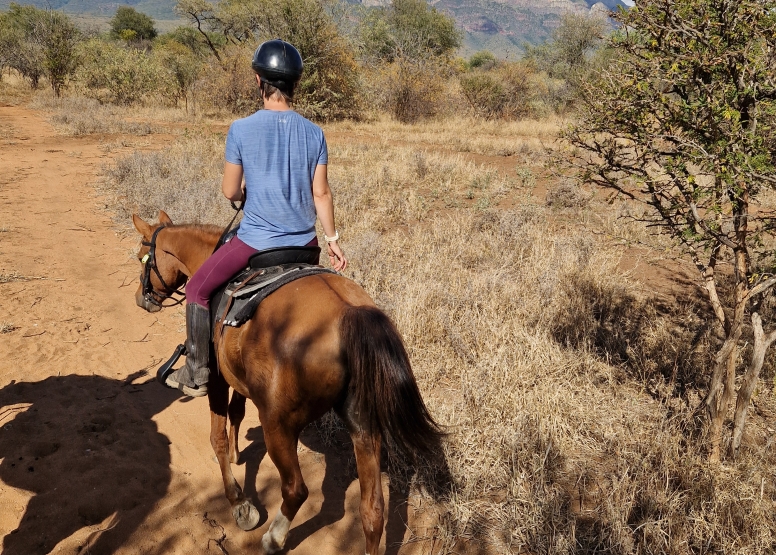 1 Hour Horseback Trail Safari Hoedspruit image 8