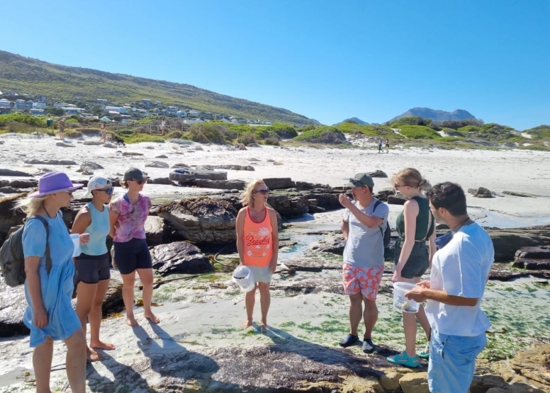 Seaweed foraging experience Simon's Town image 4