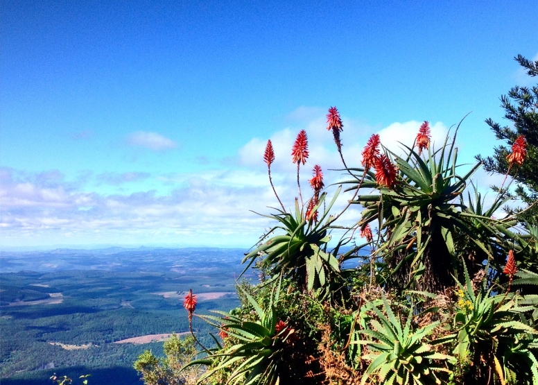 Swaziland Day Tour image 1