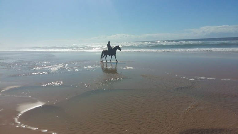 Beach Horse Ride 90mins image 2