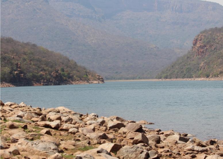 BLyde River Canyon and Moholoholo Wildlife Rehab Centre - 1 Day image 4