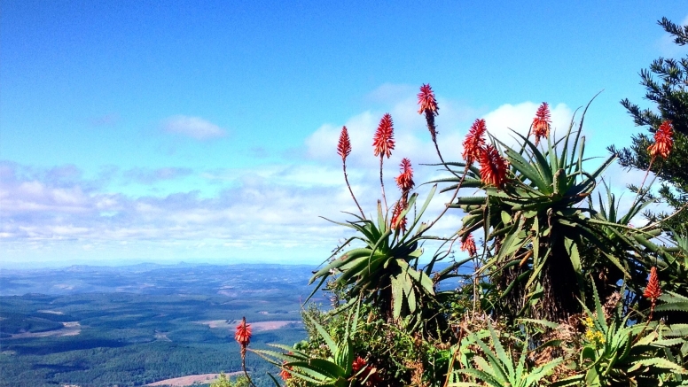 Swaziland Day Tour image 1