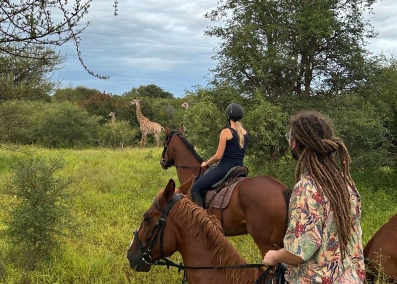 1 Hour Horseback Trail Safari Hoedspruit image 1