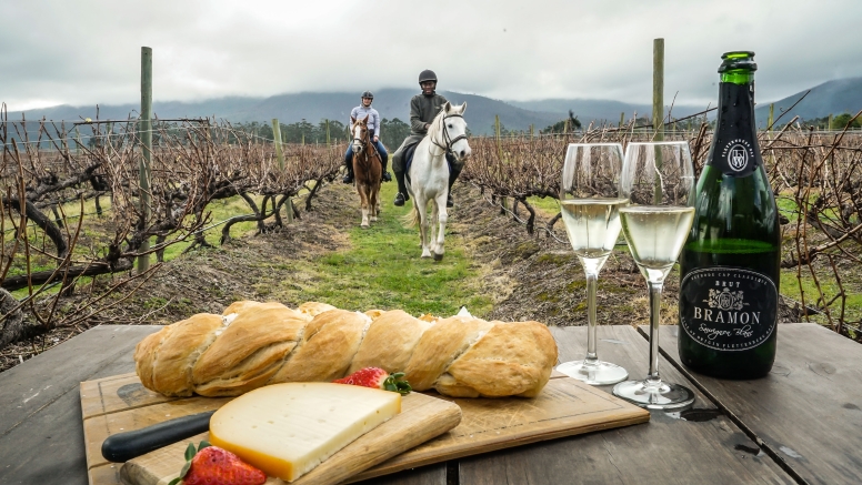 Half day couples horse ride wine and pamper package image 3