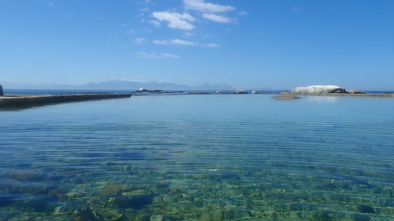 Snorkel Cape Town's Stunning Tidal Pools image 3