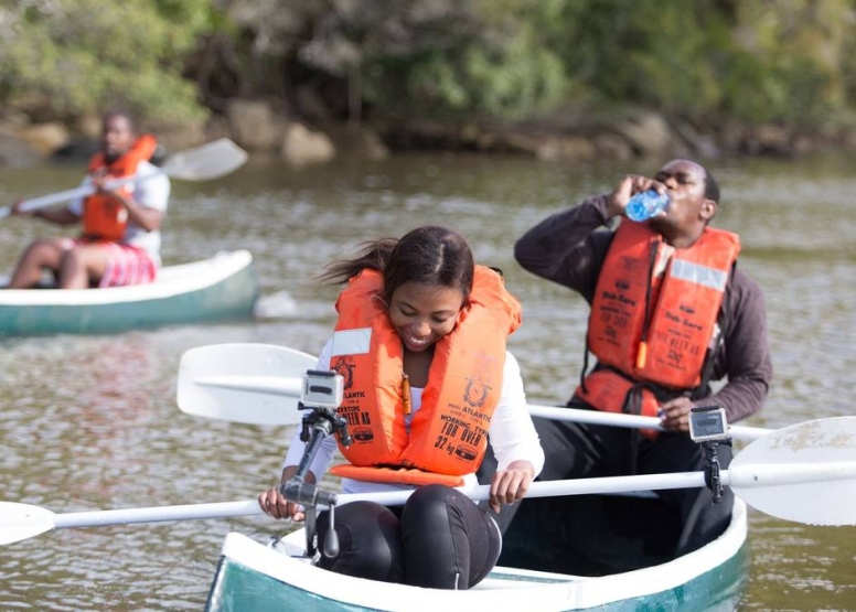 Full Day River Kayak or Canoe Rental image 6