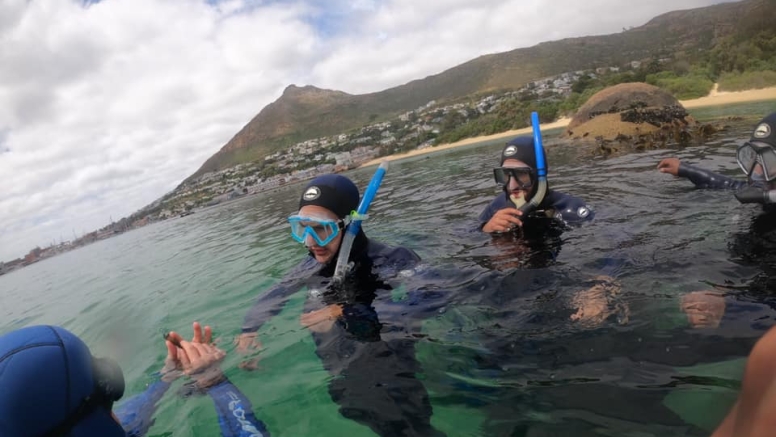 Freedive or snorkel with Seals Simon's Town image 4