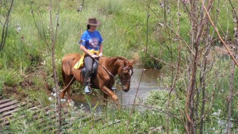 Horseback Riding at Cullinan image 2