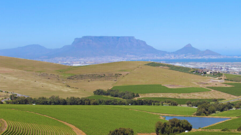 Wine Safari Tour-Southern Line image 6