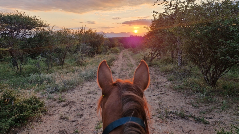 1 Hour Horseback Trail Safari Hoedspruit image 4