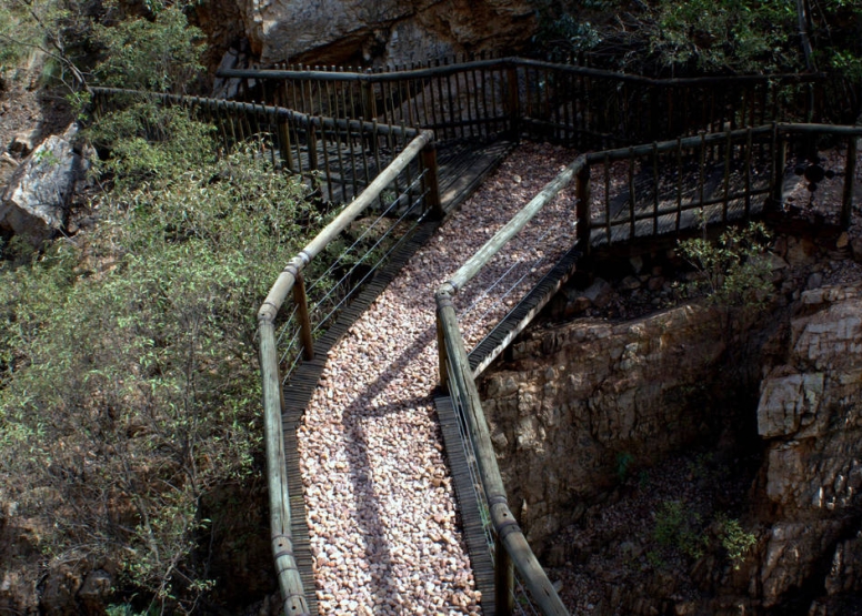 Harties Monkey Sanctuary Feeding Tour image 5