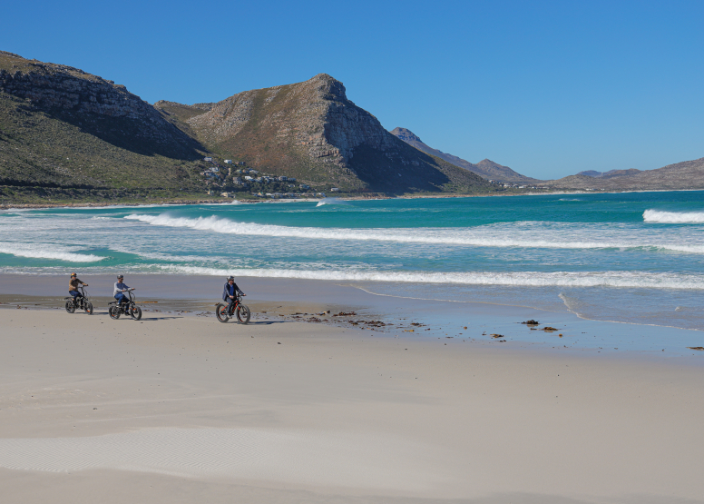 Electric Bike Cape Peninsula Tour image 6