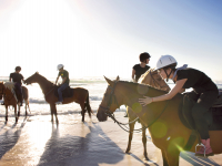 Horse Riding Horse Riding