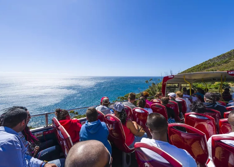 City Sightseeing Cape Town 1 Day Hop on Hop off bus ticket image 2