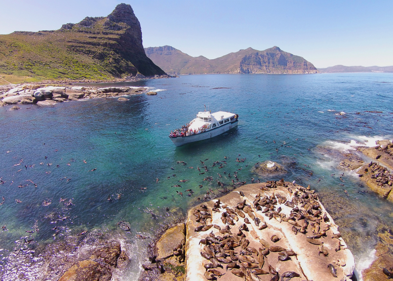 1 Hour Special Boat Trip in Hout Bay image 2