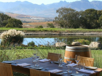 wine estate, wine tasting, wine tours, hop on hop off bus, stellenbosch, cape winelands wine estate, wine tasting, wine tours, hop on hop off bus, stellenbosch, cape winelands