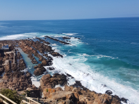 cliffs, mossel bay, garden route, adventure, mossel bay zipline, zipline mossel bay, zipline garden route, garden route zipline cliffs, mossel bay, garden route, adventure, mossel bay zipline, zipline mossel bay, zipline garden route, garden route zipline