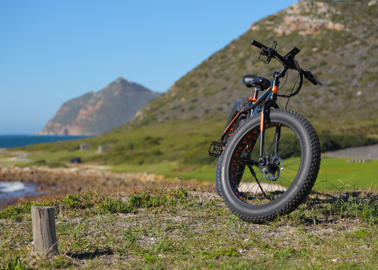 Electric Bike Cape Peninsula Tour image 9