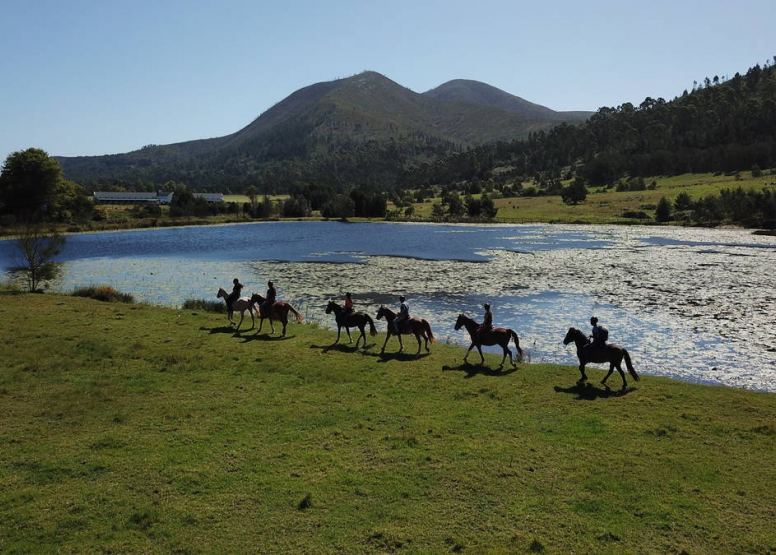 1 Hour Mountain and forest horse ride Kurland Park image 2