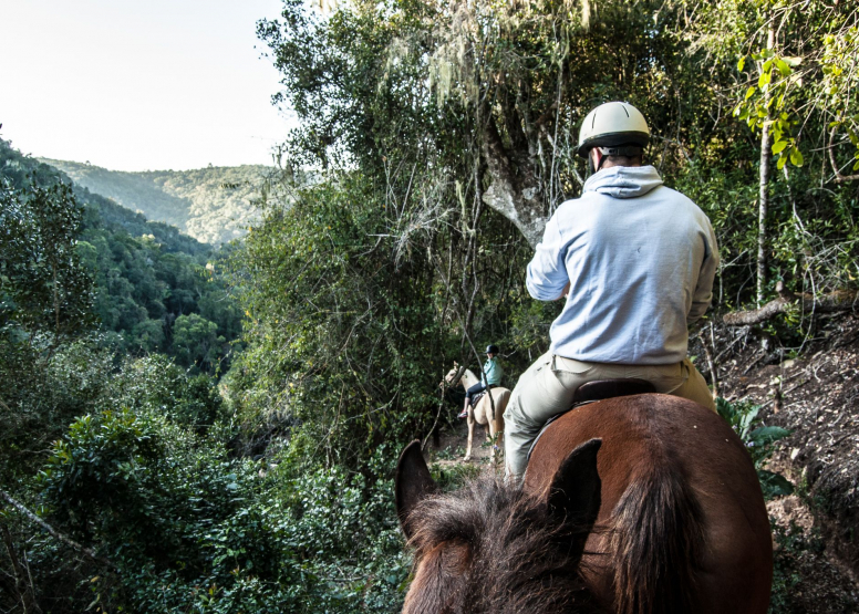 2 Hour  Fynbos River Horse Ride Kurland Park Horse and Carriage Trails image 3