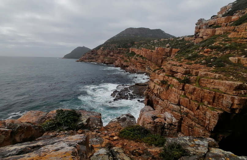 cape point running tour, cape of good hope running tour